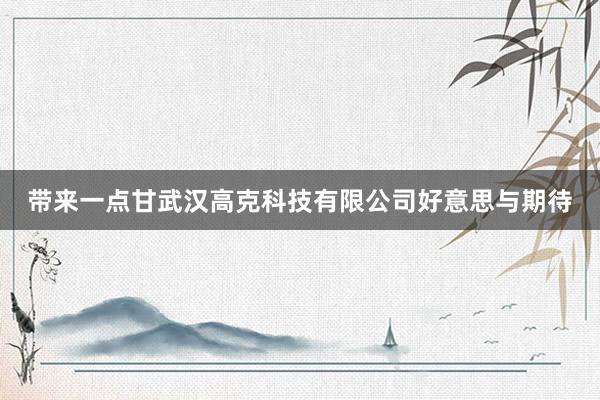 带来一点甘武汉高克科技有限公司好意思与期待